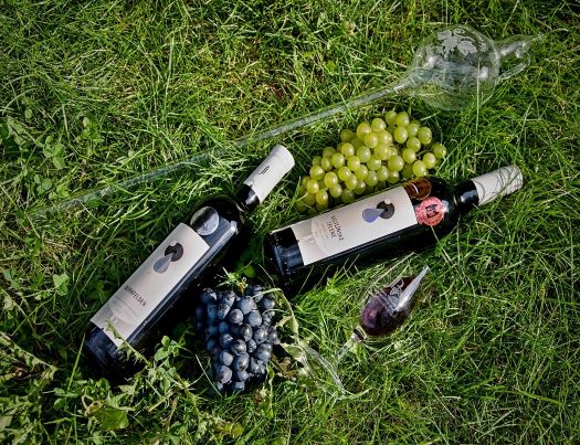 Reklamní dárky - lahve s kvalitním vínem