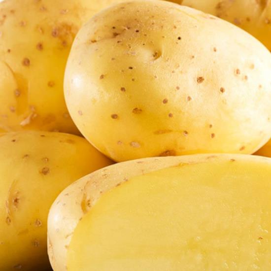 Prodej kvalitních sadbových brambor
