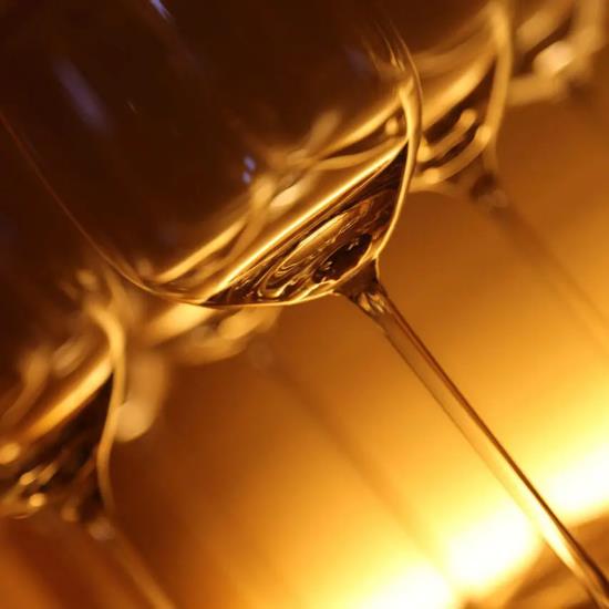 Řízené degustace moravských vín ve vinném sklepě