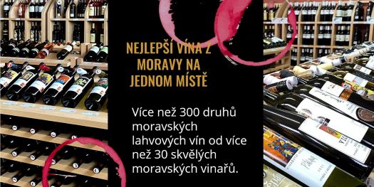 Sudová a lahvová vína z moravských vinařství
