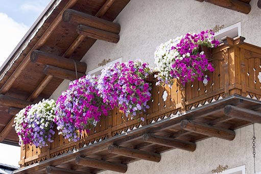 Pomalu rozpustné hnojivo pro balkonové a pokojové rostliny