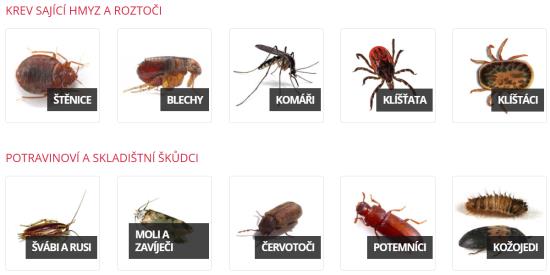 Profesionální hubení hmyzu Moravskoslezský kraj