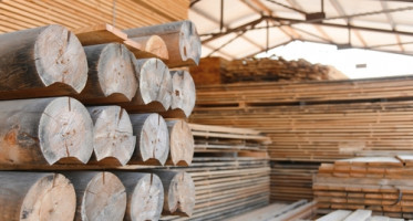 Pila Lukov - zpracování a prodej dřeva
