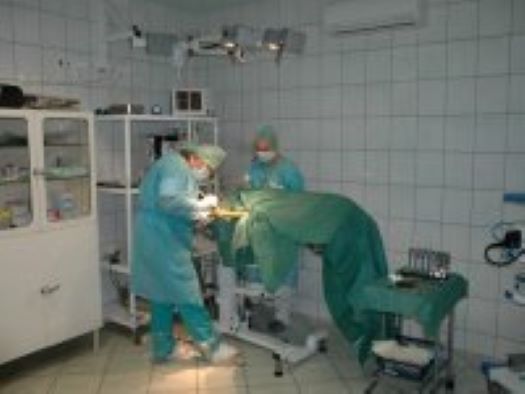 Chirugické zákroky, artroskopické operace kloubů zvířat