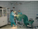 Veterinární péče v opavské nemocnici s moderním lékařským vybavením