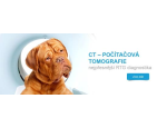 CT vyšetření zvířat ve veterinární nemocnici v Opavě – přesné lékařské diagnózy