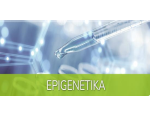 Nabídka produktů pro epigenetiku, zkoumání epigenetických změn