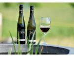 Vinařství Pfeffer v Rakvicích zve k řízeným degustacím vybraných druhů vín