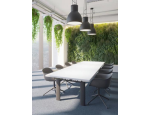 Zelené stěny, živé rostlinné dekorace do kanceláří, komerčních prostor, hotelů