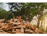 Tvrdé a měkké štípané palivové dřevo – prodej a rozvoz Moravskoslezský a Olomoucký kraj