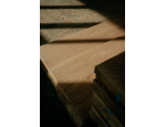 Dřevěné podlahy z masivu