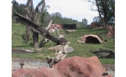 Imitace skalních masivů Torkret v prostorách zoologické zahrady