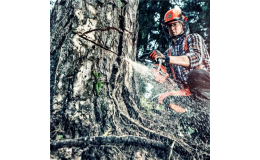 Lesní technika - Robert Bílka Modrá u Uherského Hradiště