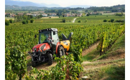 Traktory pro práci ve vinohradu - SYNPRO, s.r.o. Velké Bílovice