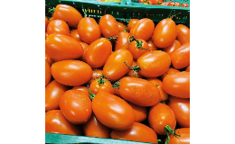 Prodej rajčat od místních zemědělců a farmářů