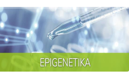 Zkoumání epigenetických změn, Biogen Praha