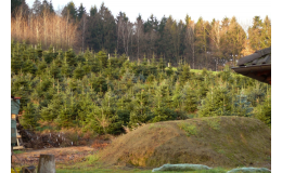 Správa lesů obcí a soukromých majitelů na Rožnovsku