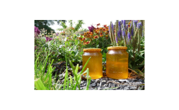 Včelařství Řezanina - výroba květového medu