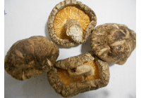 Sušené houby, Čína