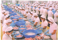 VIETNAM; Mražené ryby