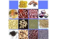 KAMERUN; Zemědělské výrobky, potraviny