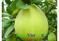VIETNAM; Tropické ovoce a zelenina