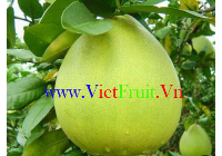 Tropické ovoce, zelenina, Vietnam