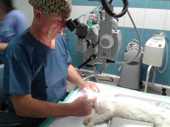 Operační mikroskop pro chirurgické zákroky očí a víček u zvířat