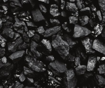 Firma Olvan se v poslední době zaměřuje na prodej uhlí, kromě toho ještě prodává paliva, maziva, autodíly nebo pracovní pomůcky