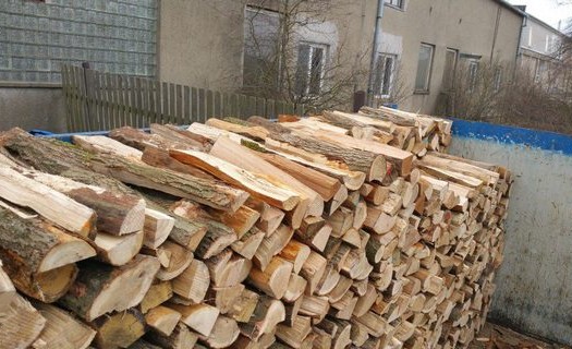 Palivové dřevo s optimální délkou 30 cm Znojmo
