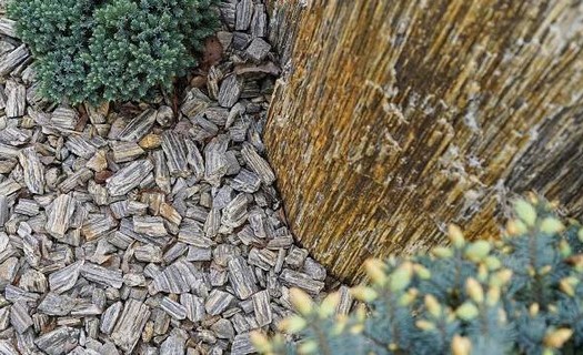 Ziersteine: So verschönern Sie den Garten mit Naturmaterialien
