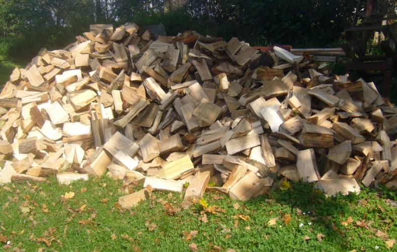 Kvalitní palivové dřevo za výhodnou cenu