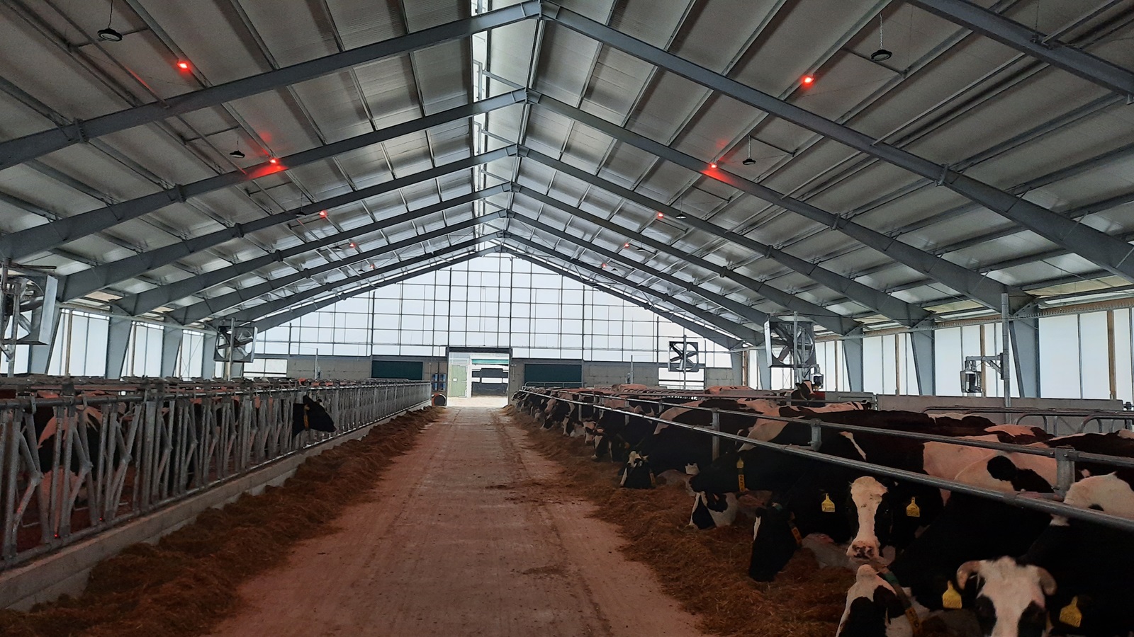 Moderní kravíny Telč - konstrukce hal pro chov dobytka
