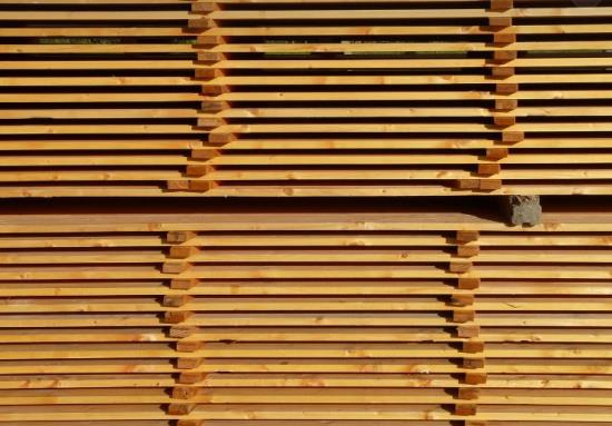 Pořez dřeva, sušení dřeva a výroba dřevěných produktů