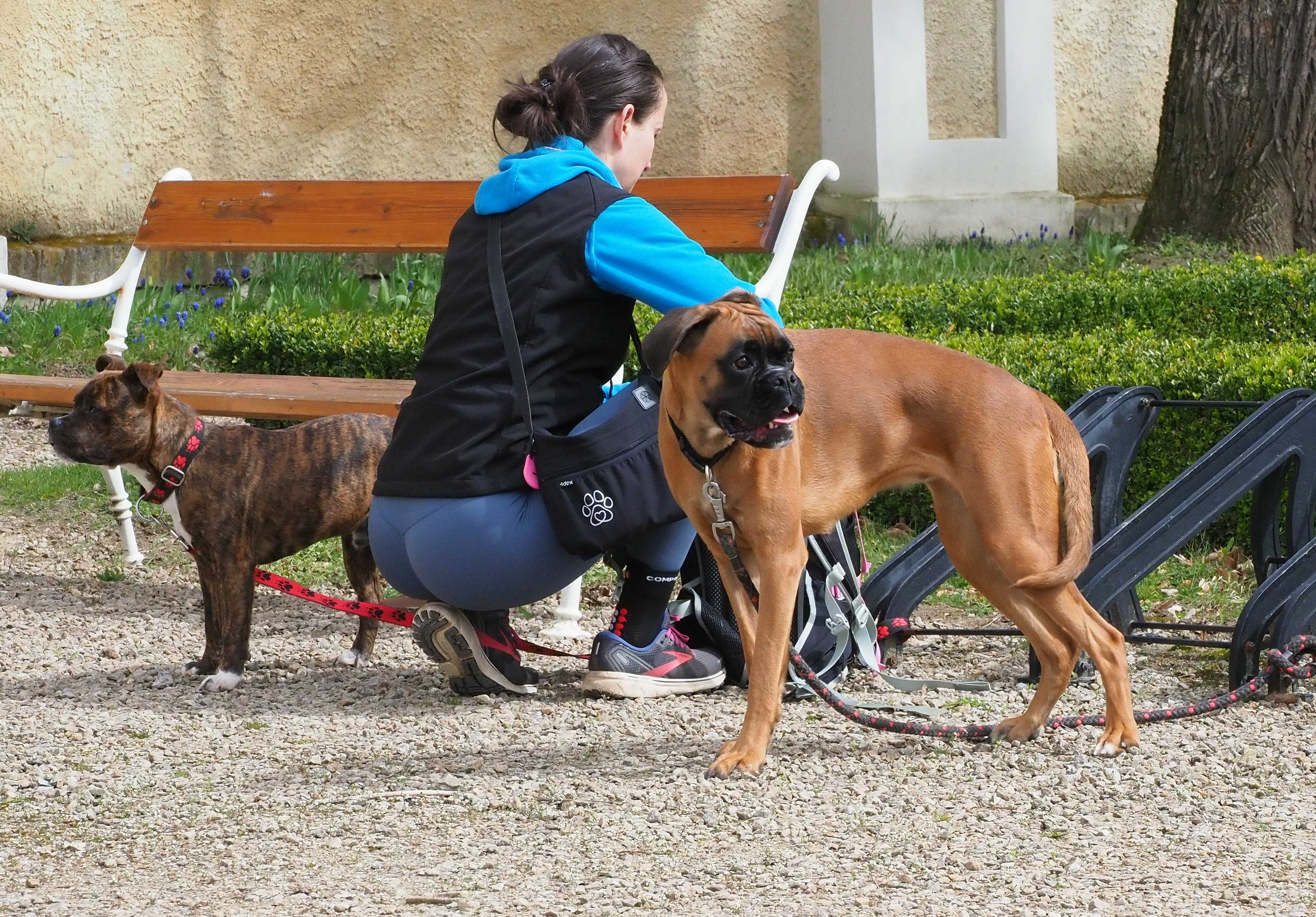 Osobní výcvik psů pro zákazníky z Moravy