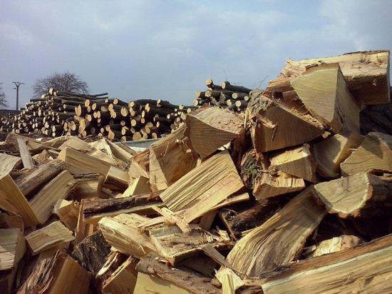 Zaručená kvalita: palivové dříví od Wood Trading s.r.o.
