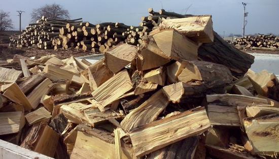 Ohřejte své domovy kvalitním dřevem: Tvrdé a měkké druhy štípaného dříví pro uskladnění