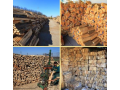 Palivové a krbové dřevo na prodej ve velkoobchodu Prodex, okres Znojmo