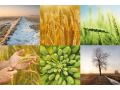 Distribuce osiv polních plodin, hnojiv a chemických přípravků na ochranu rostlin