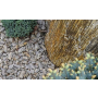 Okrasné kamenivo: Jak zkrášlit zahradu přírodními materiály