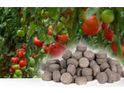 Tablety, které se pomalu rozpouštějí a poskytují hnojení pro rostliny