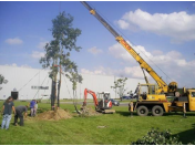 S kácením a přesazováním vzrostlých stromů pomůže firma ZAHRADY HASTÍK