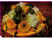 Aranžování květin pro nejrůznější příležitosti – od interiérů až po svatební kytice