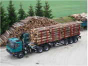 Dřevěné palety, bedny i jiné dřevěné obaly od českého výrobce