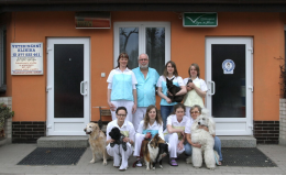 lékaři a sestry, Veterinární klinika Kleisslova Pohotovost pro zvířata Plzeň