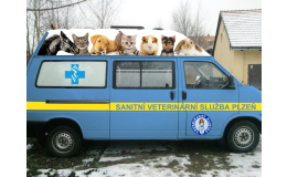 sanitka pro zvířata, Veterinární klinika Kleisslova Pohotovost pro zvířata Plzeň