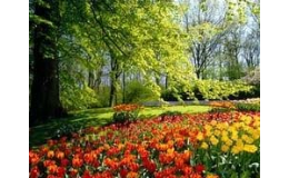 Reneta, Olomouc: návrh a realizace zahrad, parků, údržba zeleně