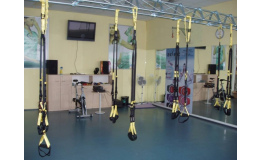 Fit 4 Fun Wellness Club, Hradec Králové: TRIX - funkční trénink: funkční trénink na závěsném systému, pro pro ženy i muže, využití váhy vlastního těla