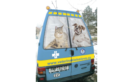 sanitka pro zvířata zachraňuje domácí mazlíčky