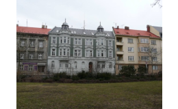 Fakulta veřejný politik, Slezská univerzita v Opavě